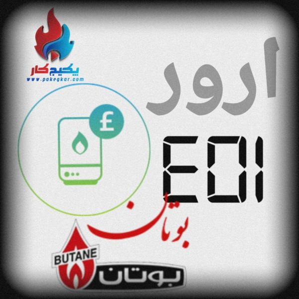 PicsArt_10-05-01-compressed ارور E01 پکیج بوتان